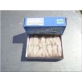 Squid 500g Baby  Squid